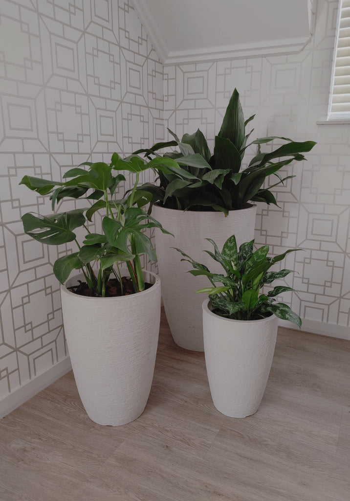 Statement Planters. Tall Upright. Display of 3 sizes with height variation. Perfect in a group of 3 or stand alone. Available colours Off White and Sandstone