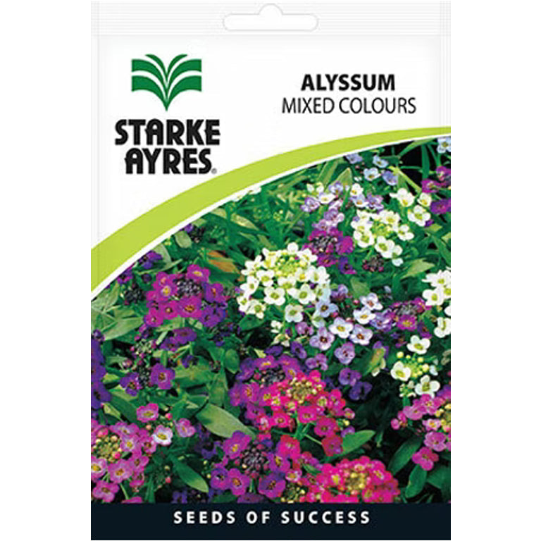 Alyssum Mixed Colours Flower Seeds - GARDENING.co.za