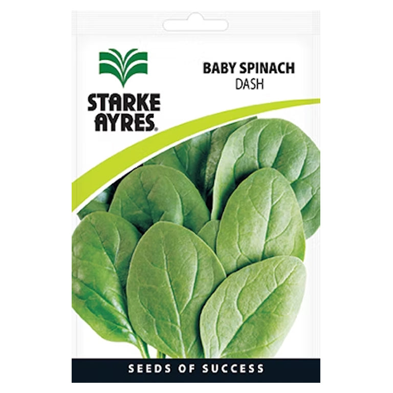Baby Spinach Dash Seeds - GARDENING.co.za