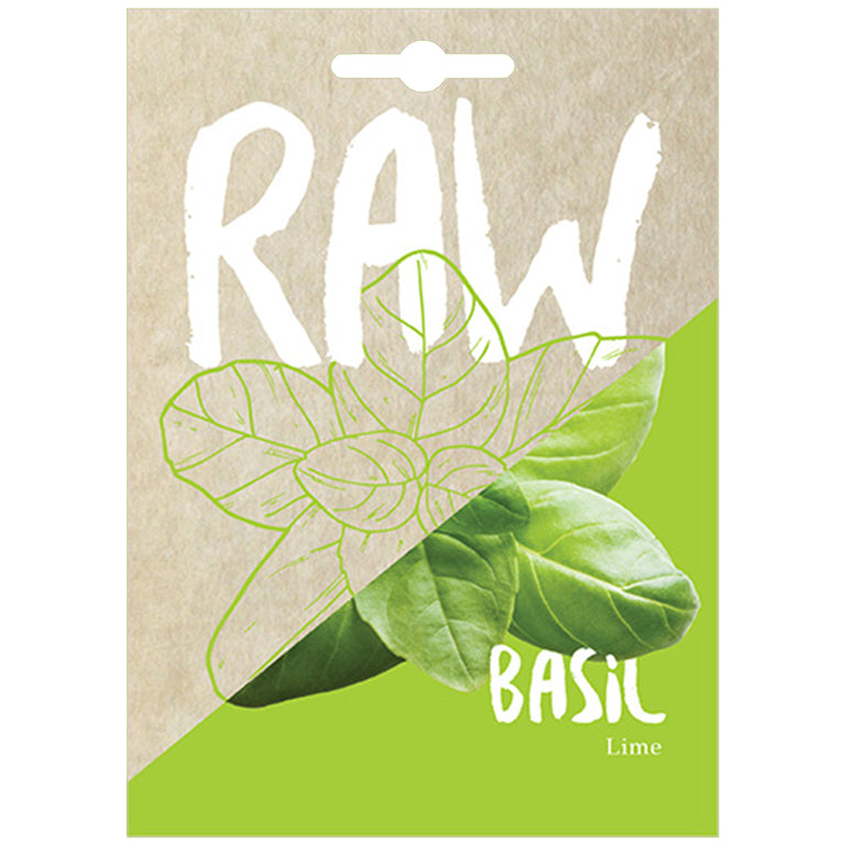 Basil Lime Seeds - GARDENING.co.za