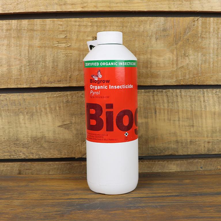 Herb & Veggie Guides-GARDENING.co.za