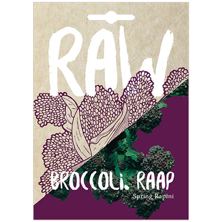 Broccoli Raap Spring Rapini Seeds - GARDENING.co.za