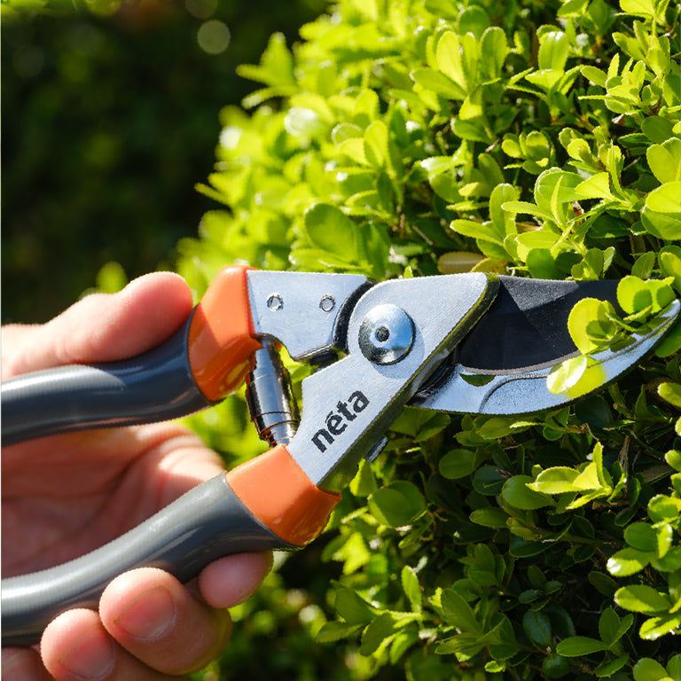 NETA Aluminium Pruner Bypass 15mm GARDENING.co.za