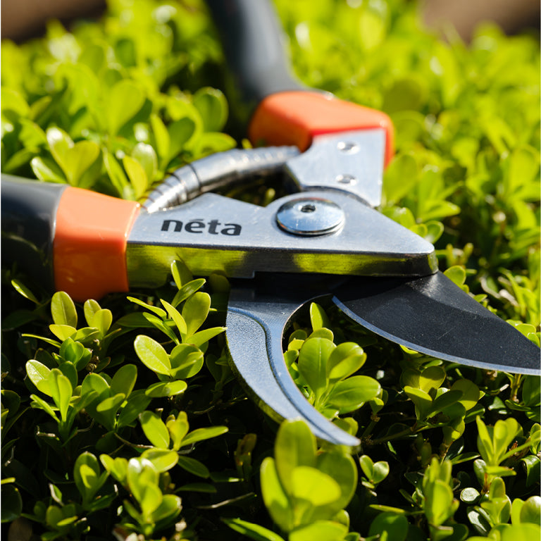 NETA Aluminium Pruner Bypass 15mm GARDENING.co.za