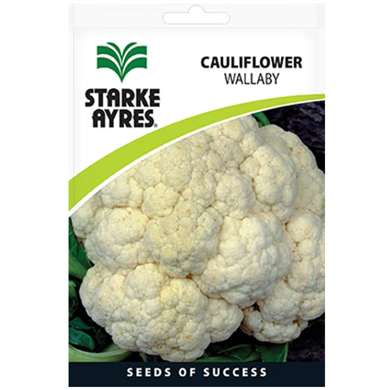 Cauliflower Wallaby Seeds - GARDENING.co.za