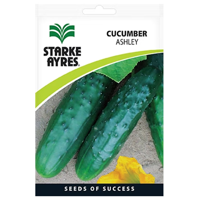 Cucumber Ashley Seeds - GARDENING.co.za