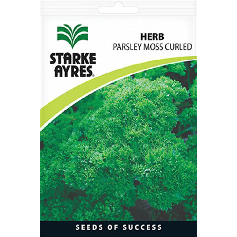 Parsley Moss Curled Herb Seeds - GARDENING.co.za
