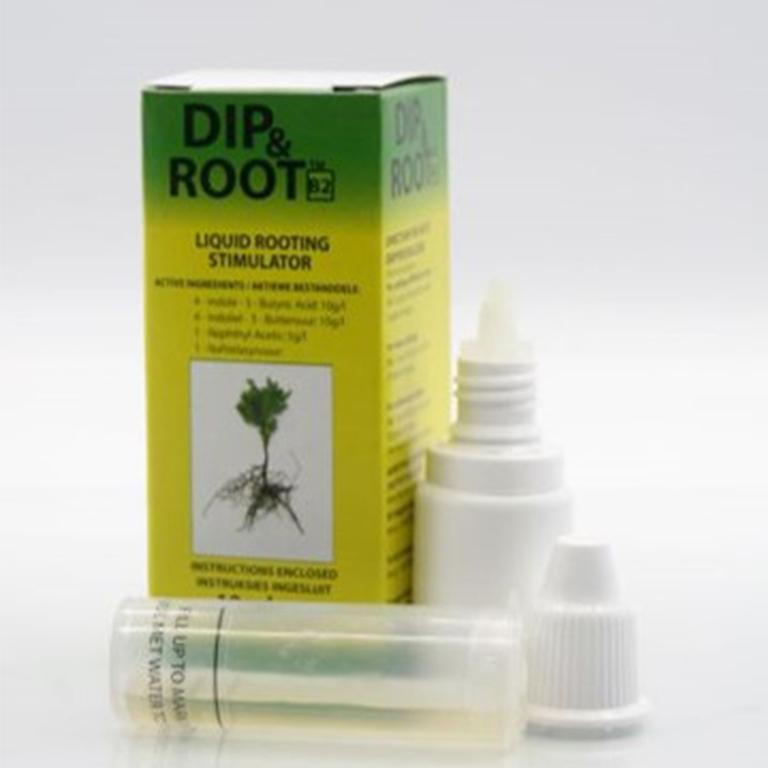 Di Root Print Plug In Dip & Root – GARDENING.co.za