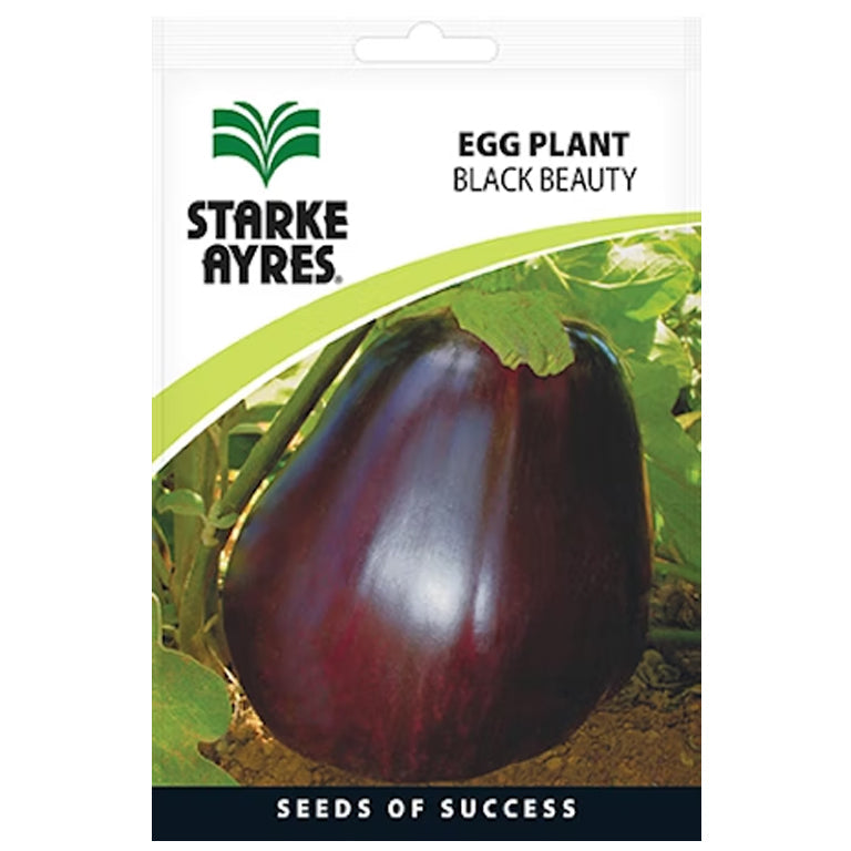 Eggplant Black Beauty Seeds - GARDENING.co.za
