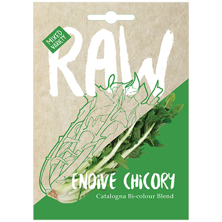 Endive Chicory Catalogna Bi-colour Blend Seeds - GARDENING.co.za