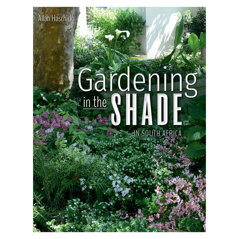 Gardening in the Shade – GARDENING.co.za