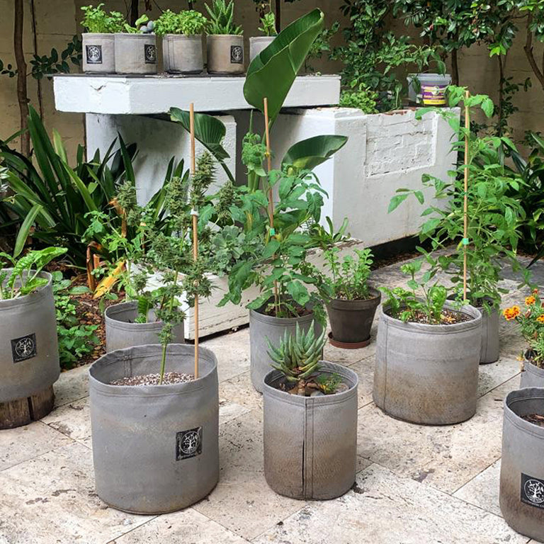 Material Grow Bags