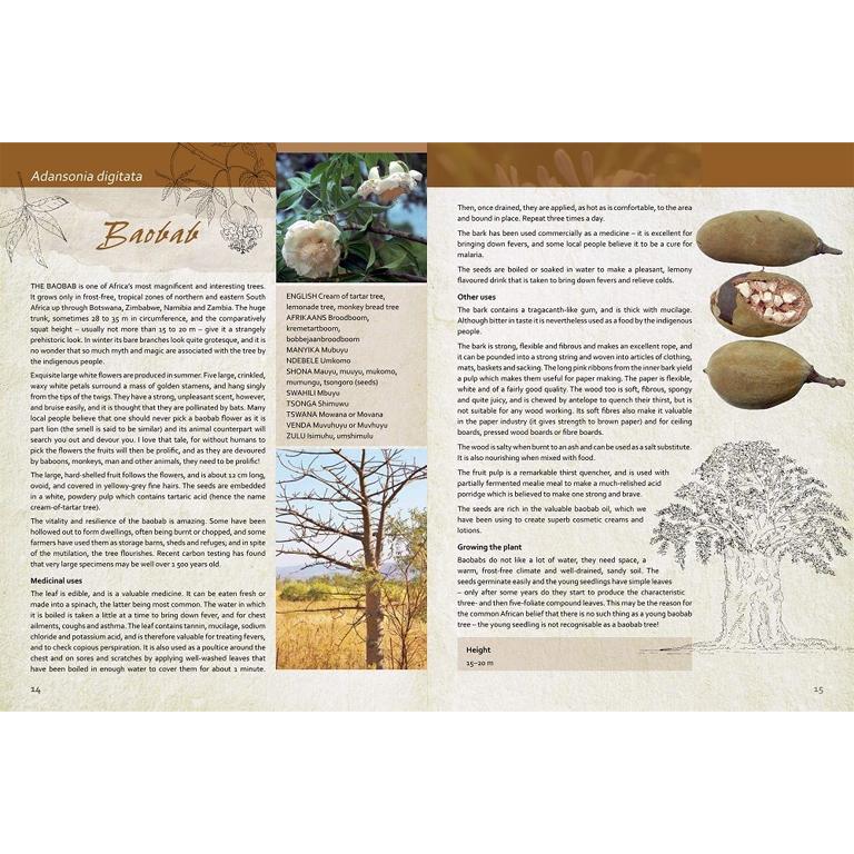 Indigenous Healing Plants - GARDENING.co.za