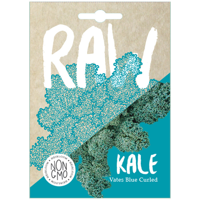 Kale Vates Blue Curled Seeds - GARDENING.co.za