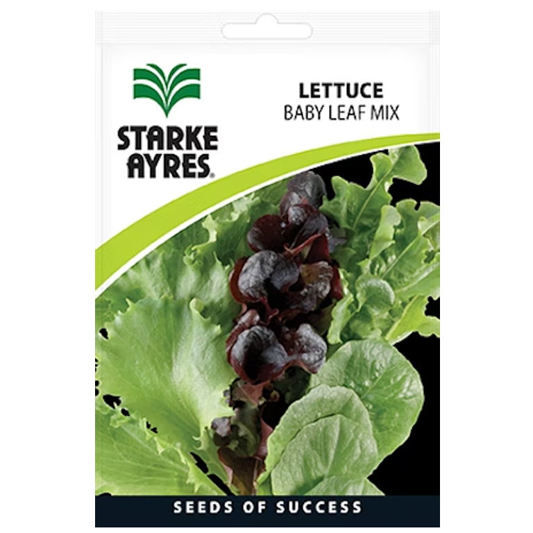 Lettuce Baby Leaf Seeds - GARDENING.co.za