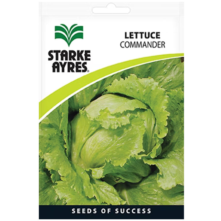 Lettuce Commander Seeds - GARDENING.co.za