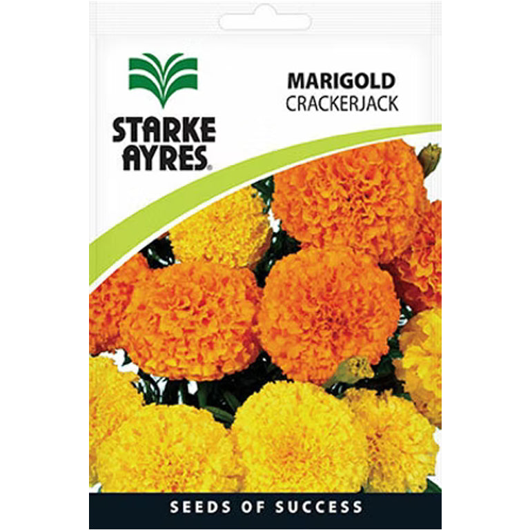 Marigold Crackerjack Flower Seeds - GARDENING.co.za