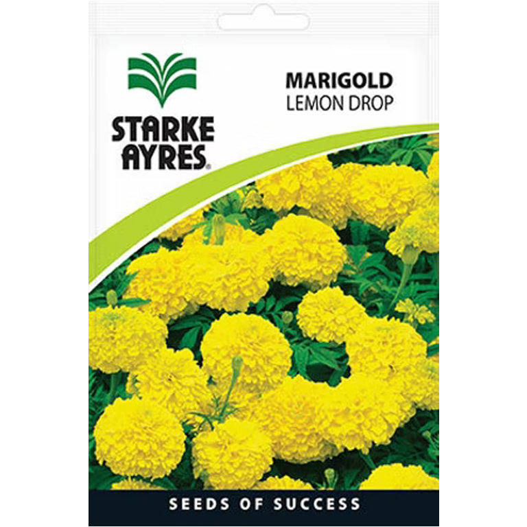 Marigold Lemon Drop Flower Seeds - GARDENING.co.za