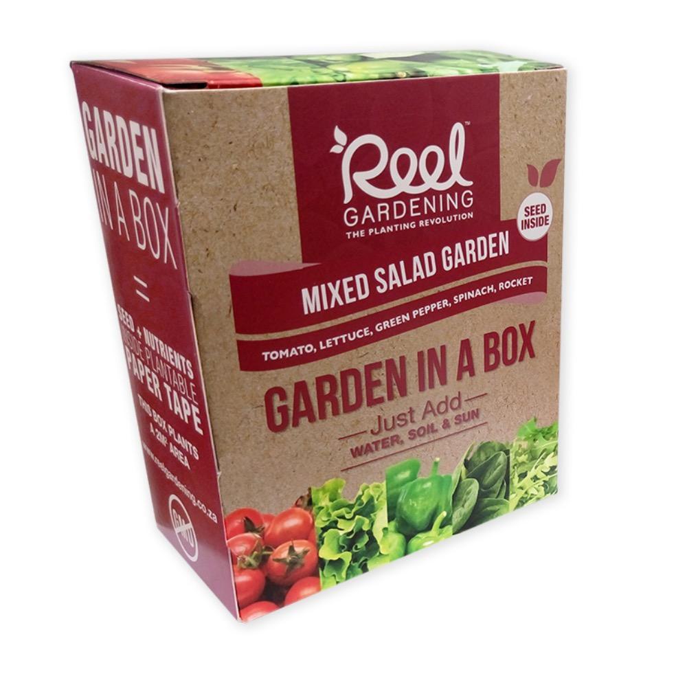 Mixed Salad Garden In a Box - GARDENING.co.za