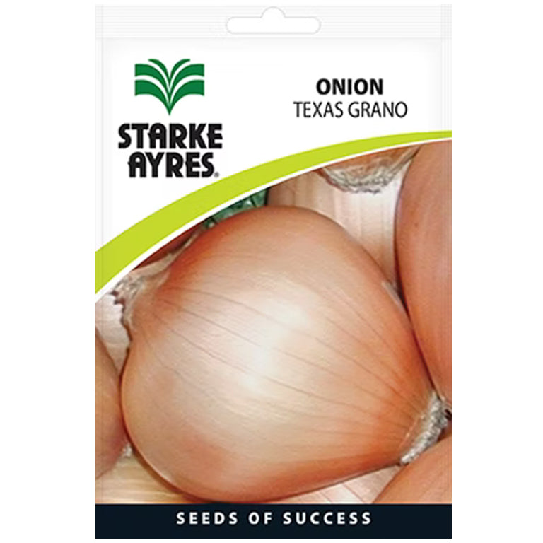 Onion Texas Grano Seeds - GARDENING.co.za