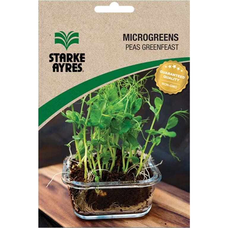 Peas Microgreens Seeds - GARDENING.co.za