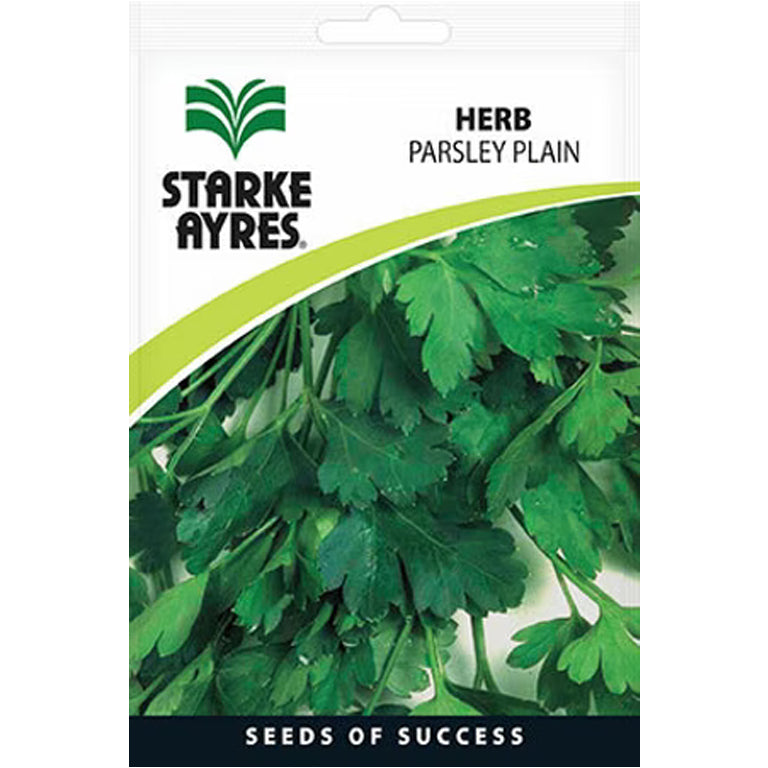 Parsley Plain (Flat-Leave) Herb Seeds - GARDENING.co.za