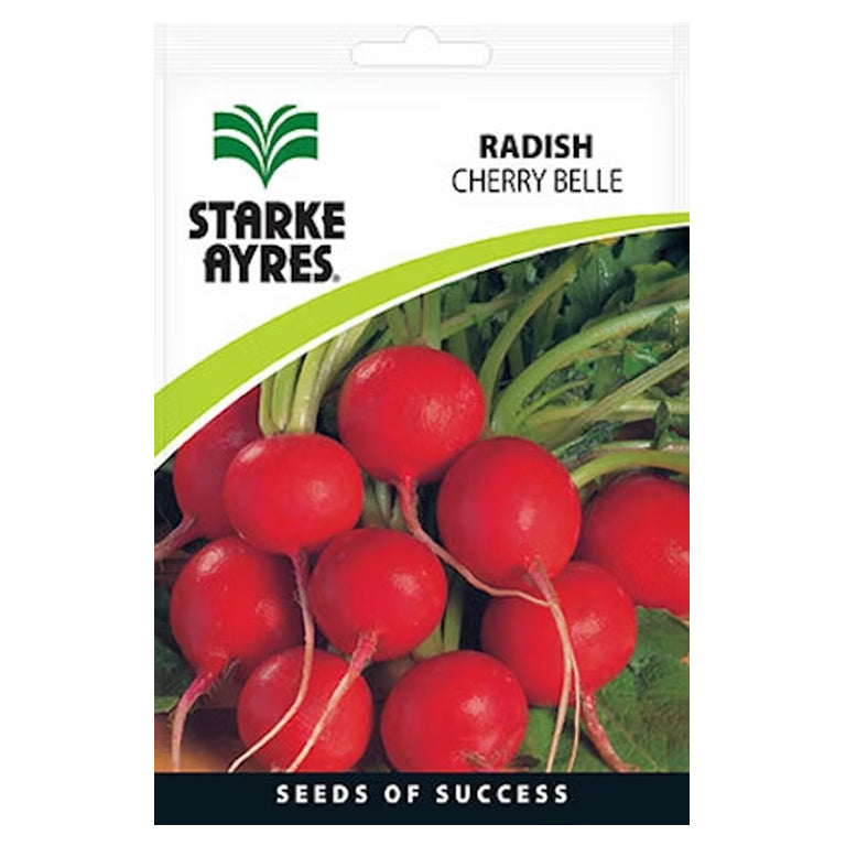 Radish Cherry Belle Seeds - GARDENING.co.za