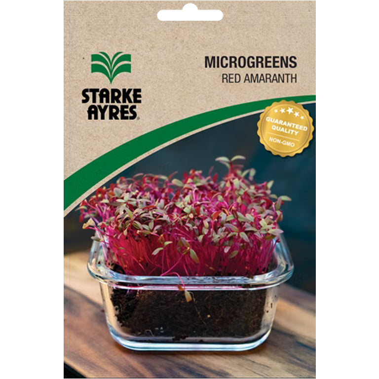 Red Amaranth Microgreens Seeds - GARDENING.co.za