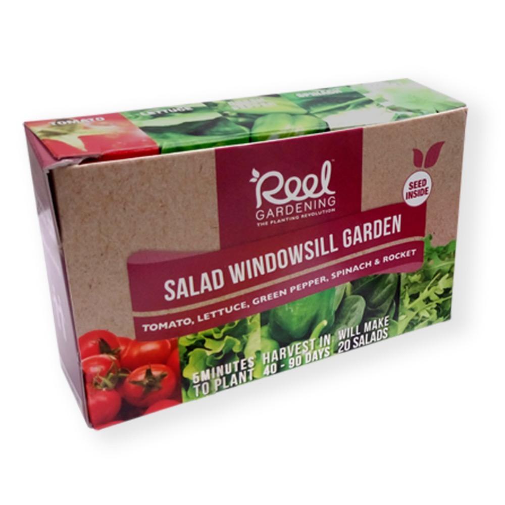 Salad Windowsill Garden In a Box - GARDENING.co.za