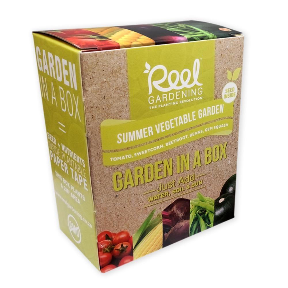 Summer Vegetable Garden In a Box - GARDENING.co.za
