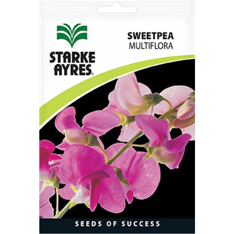 Sweetpea Multiflora Flower Seeds - GARDENING.co.za