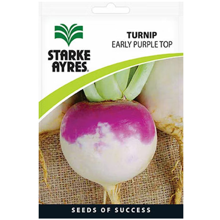 Turnip Early Purple Top Seeds - GARDENING.co.za