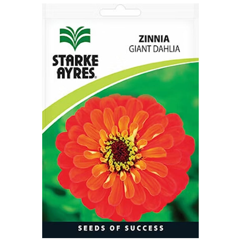 Zinnia Giant Dahlia Seeds - GARDENING.co.za