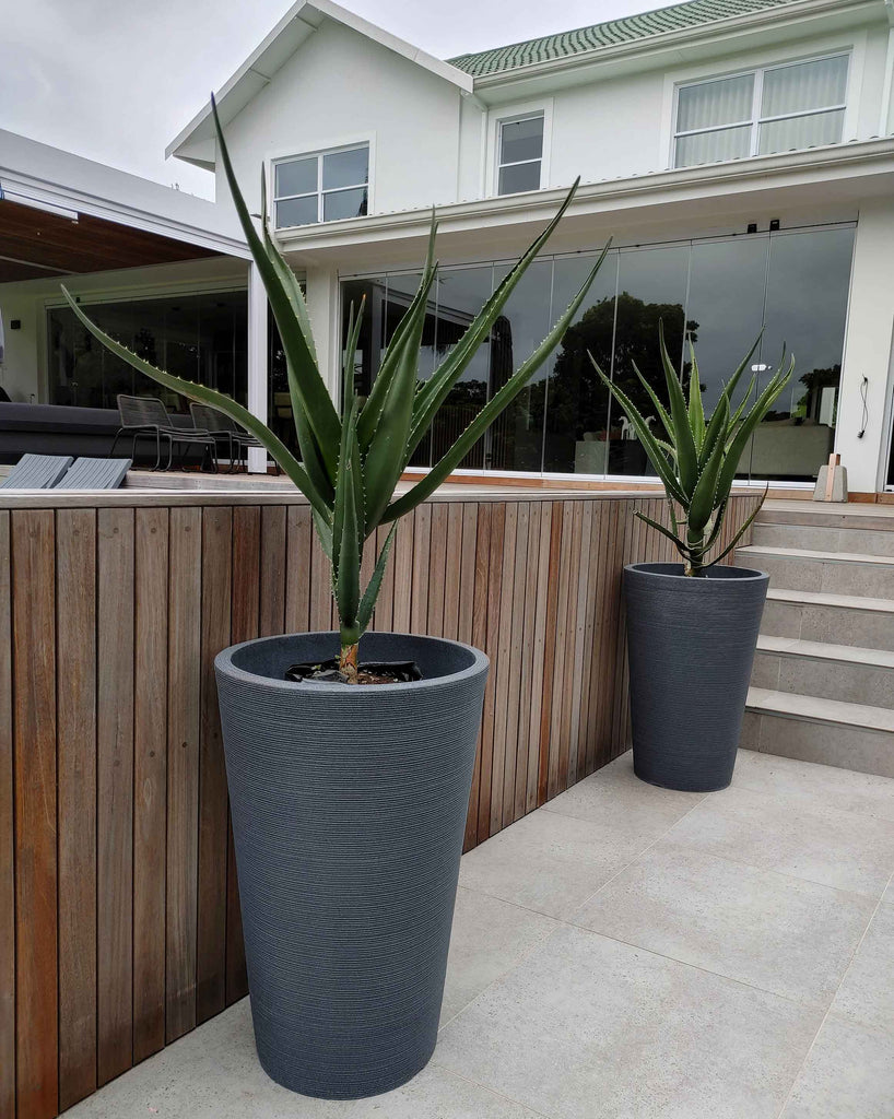 Showcase photograph of the Linear Japi Planter in a modern home outdoor environment. Eye catching Stylish linear design..